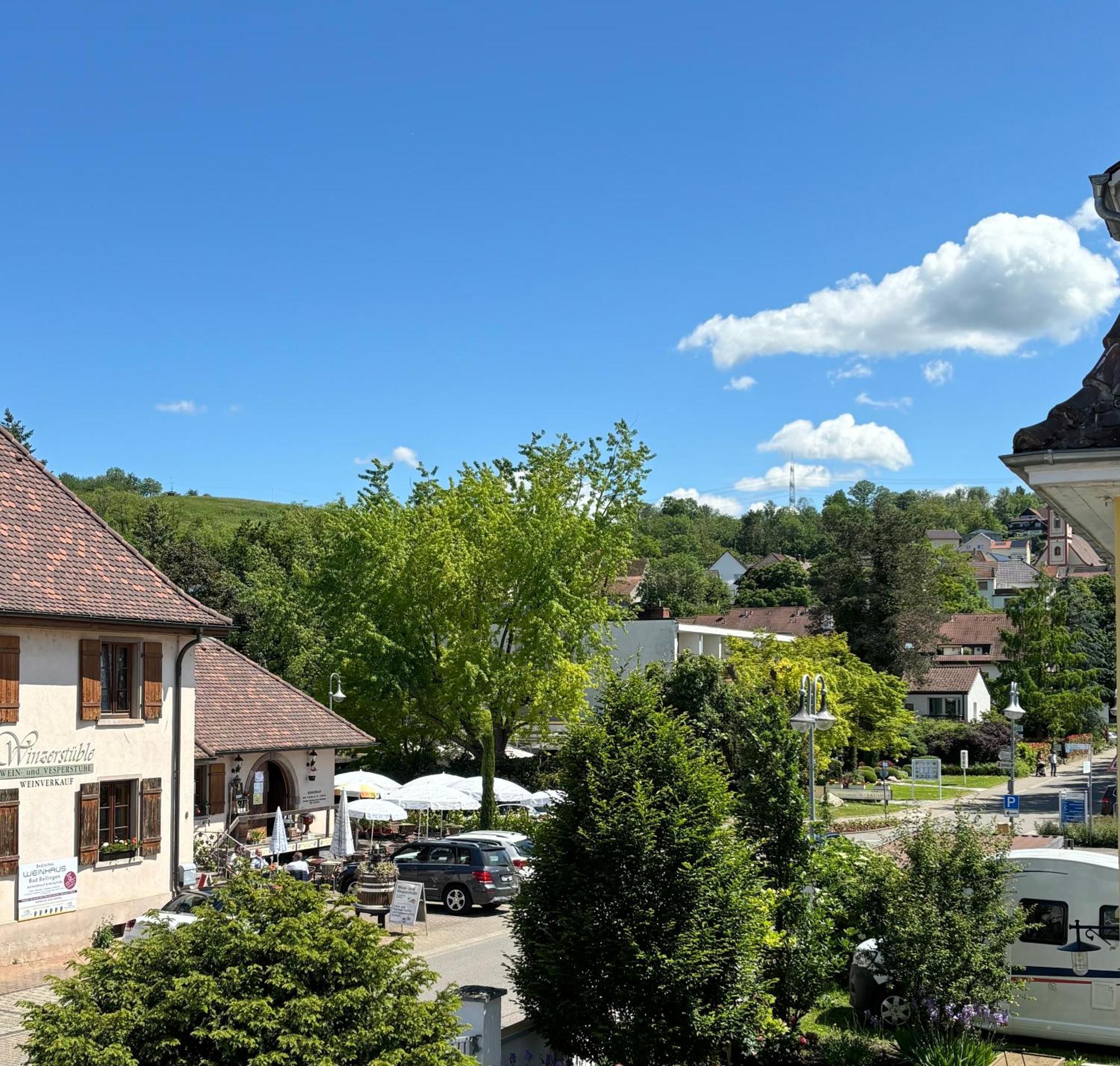 Gesamte Wohnung, Kueche, Parkplatz, Terrasse Bad Bellingen Luaran gambar