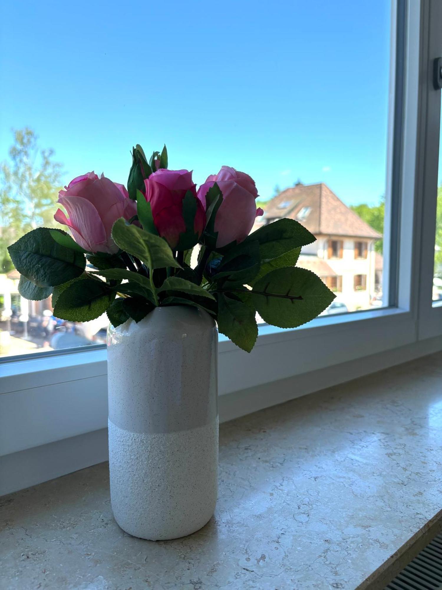 Gesamte Wohnung, Kueche, Parkplatz, Terrasse Bad Bellingen Luaran gambar