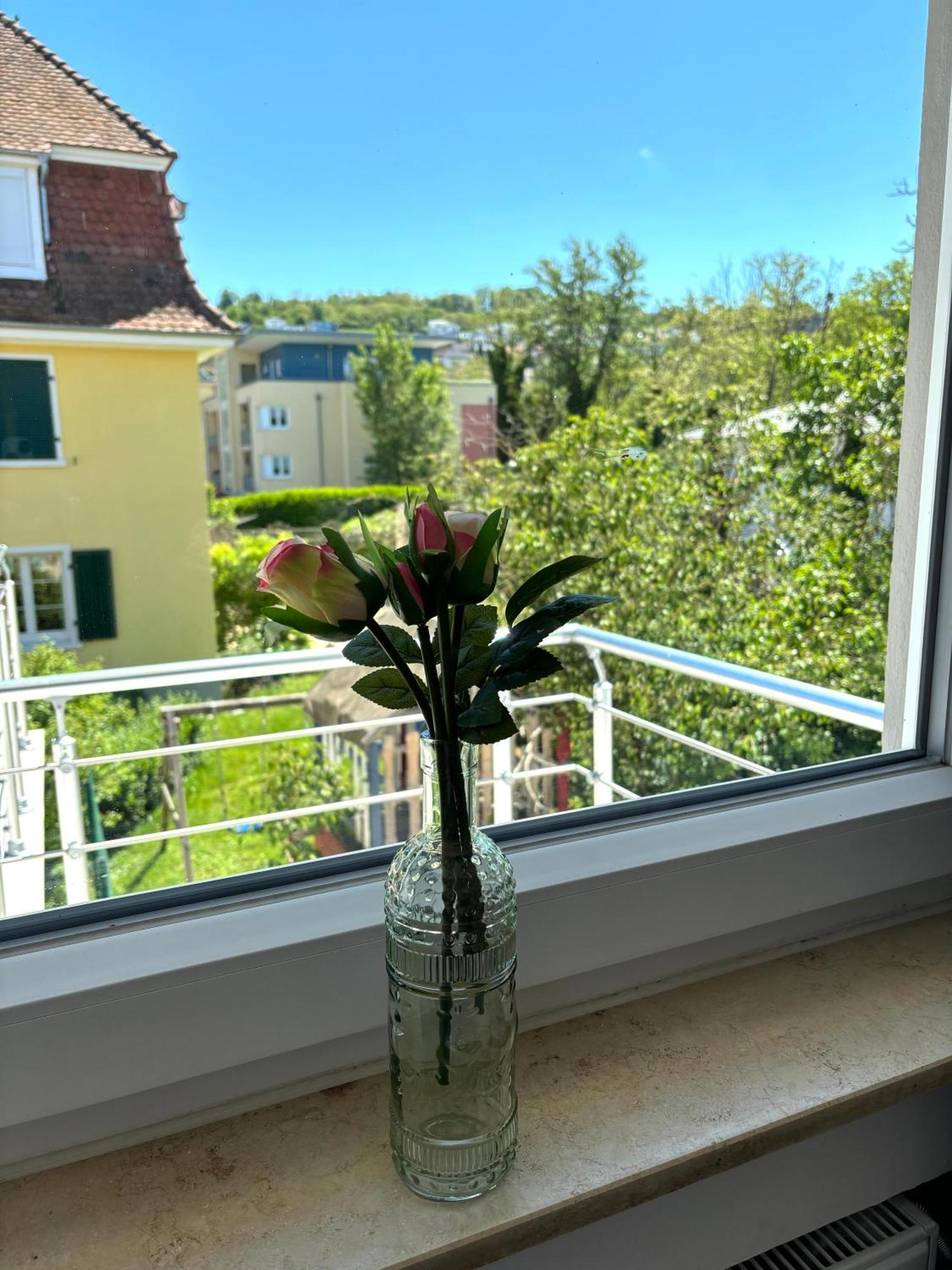 Gesamte Wohnung, Kueche, Parkplatz, Terrasse Bad Bellingen Luaran gambar