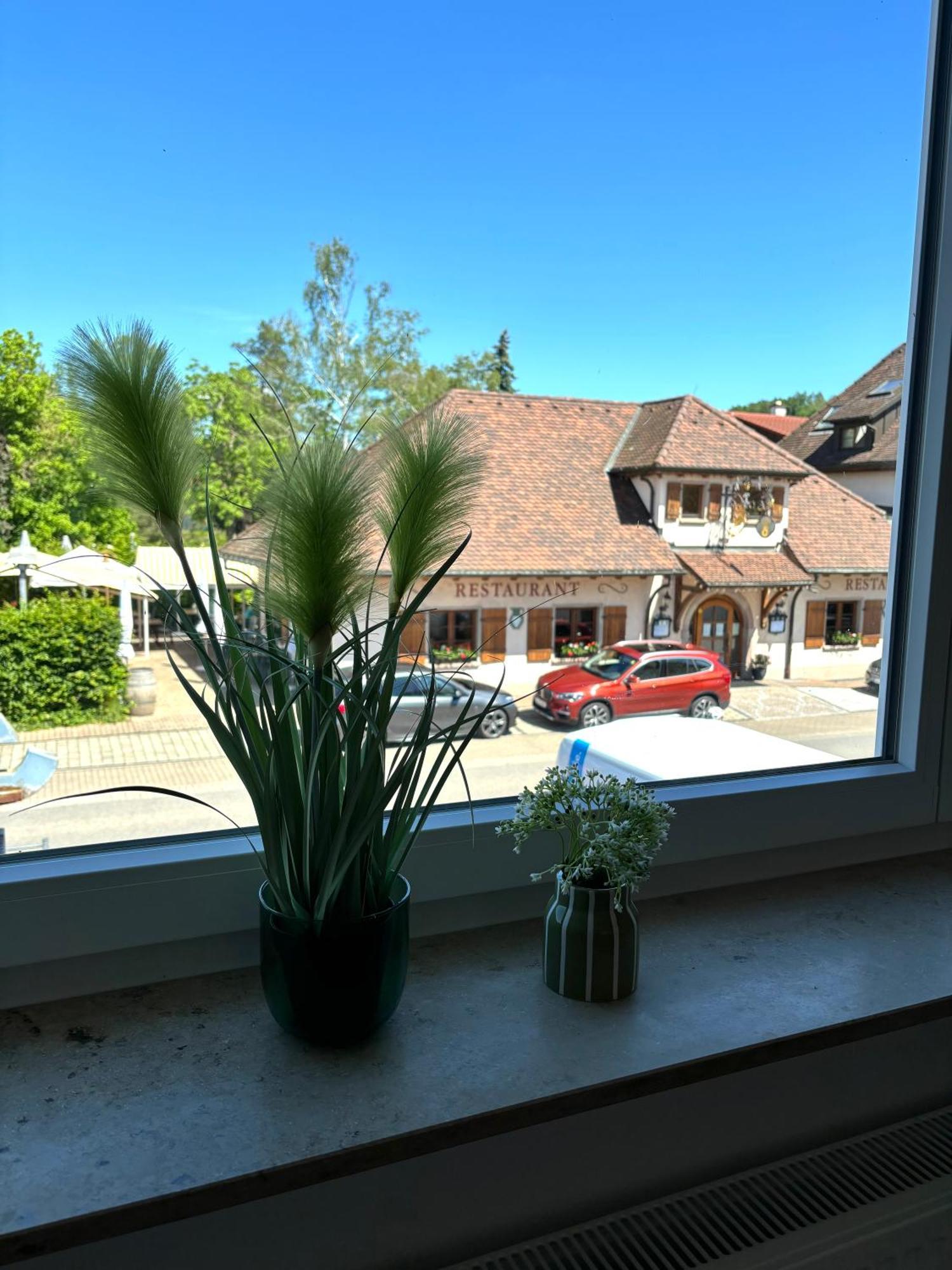 Gesamte Wohnung, Kueche, Parkplatz, Terrasse Bad Bellingen Luaran gambar